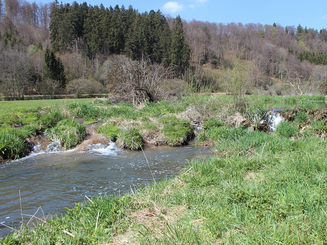 Im Fruehling 2019 (3)